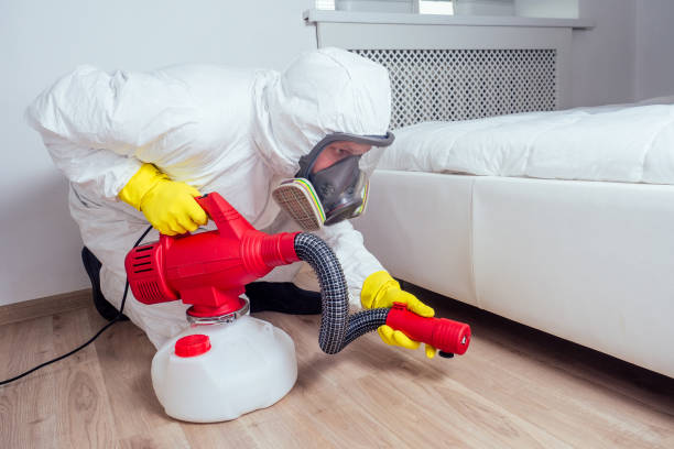 Best Real Estate Pest Inspections  in Aitkin, MN